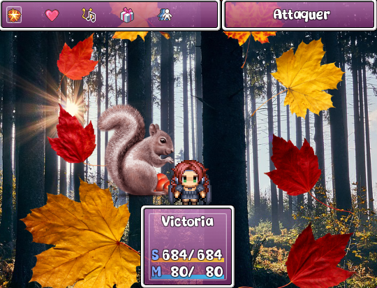 interface de combat